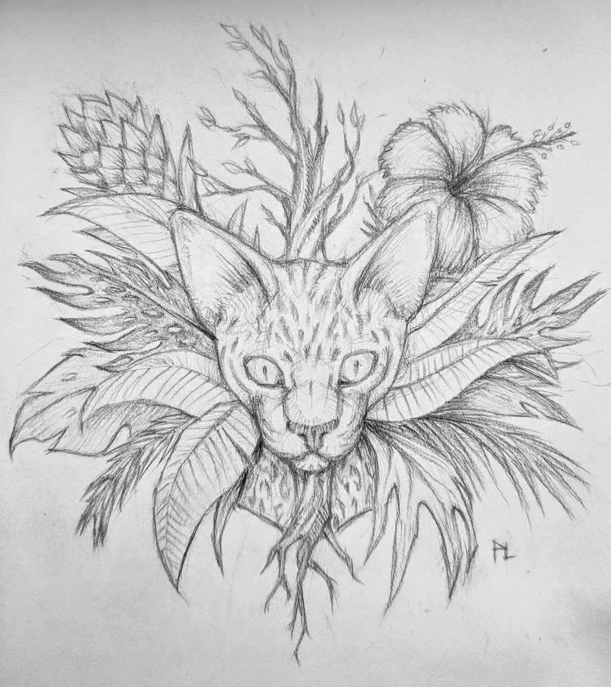 Jungle Cat | PL Sketchblog